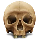 Skull3