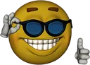 EmotiCoolSunglasses