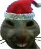 xdd