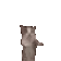 yeppieCatdance