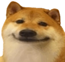 :dogsmile: