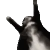 jigglin