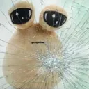 POU