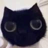 skrunkly