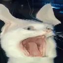 OHNOSCREAM