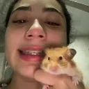 hamster4life