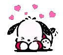 gpochaccoblush