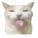 Feeling_Silly