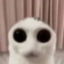 iamlookingatyou