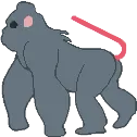 rat_gorilla