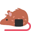 rat_rice_cracker