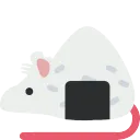 rat_riceball
