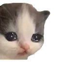 Imageremovebgpreview4 imageremovebgpreview4 Discord Emoji