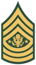 sergeantmajorofthearmy
