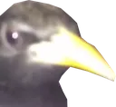 q8vbird