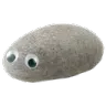 petrock