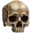 Skull Skull