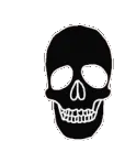 LNE_preto_skull