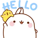 hello