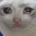 catofsorrow Discord Emoji