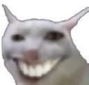 KreepyKat