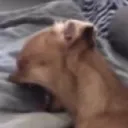 Screenshot20221204225254