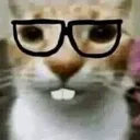 Nerdcat Discord Emoji