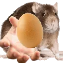 rategg