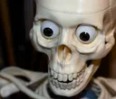 eyes_bone
