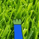 Touchgrassgers