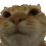 nonoF