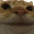 3_NoNoNo
