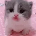 scared