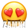 Sr Zamn Discord Emoji
