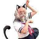 MEOW