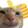 e0
