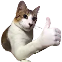 ok
