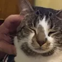 briggsscratchies briggsscratchies