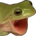frig