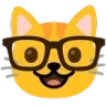 nerdcat