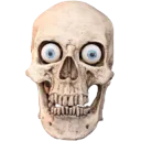 sku3 sku3