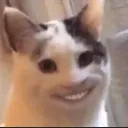 why