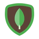 mongodb