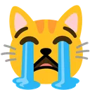sob_cat_google