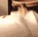 catinsane