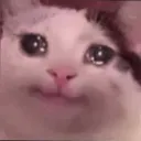 cat_sad_29 Discord Emoji