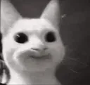 SadCat SadCat
