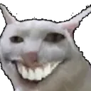weshcat