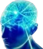 bigbrain bigbrain