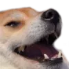 doggolul